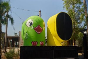 big birds big birds