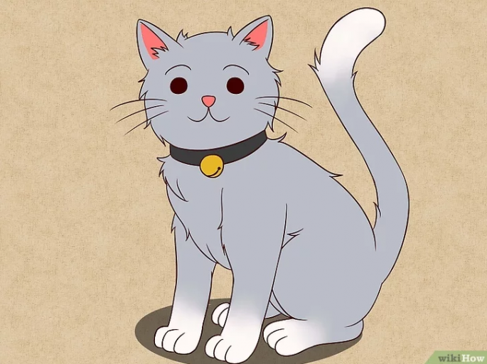 tutorial drawing for cat illustration tutorial drawing