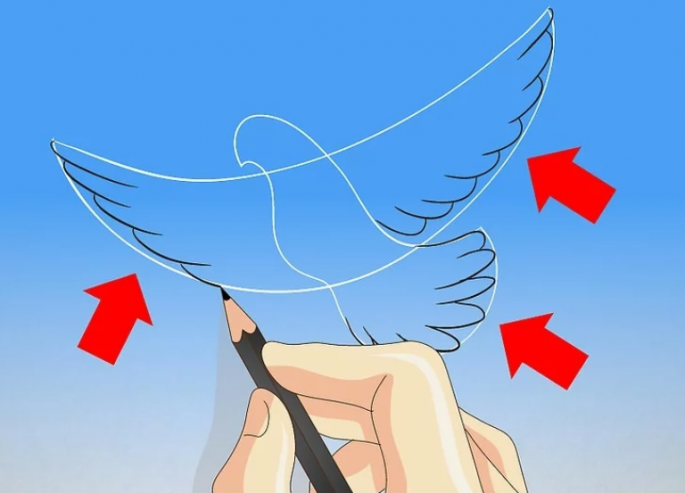 tutorial drawing for pigeon illustration 1 tutorial drawing