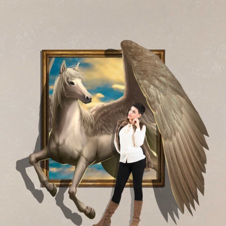 3D Trick Art Pegasus